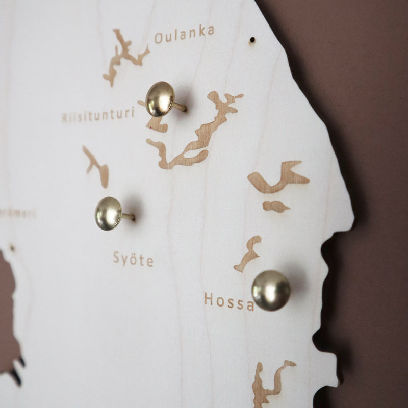 Push pins for wooden maps